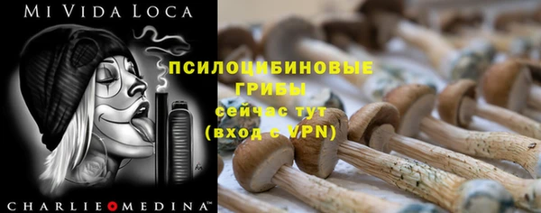 гидропоника Гусев