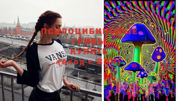 твердый Гусь-Хрустальный