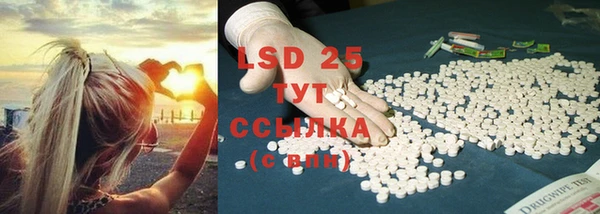 гидропоника Гусев