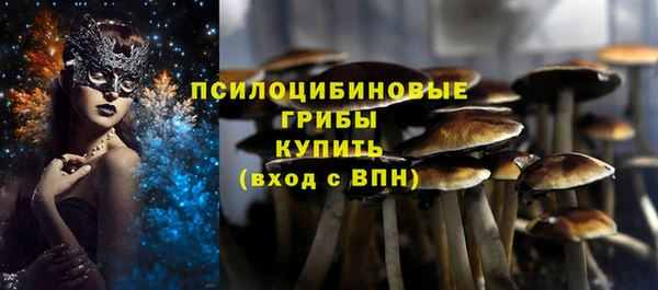 гидропоника Гусев