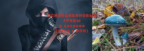 твердый Гусь-Хрустальный