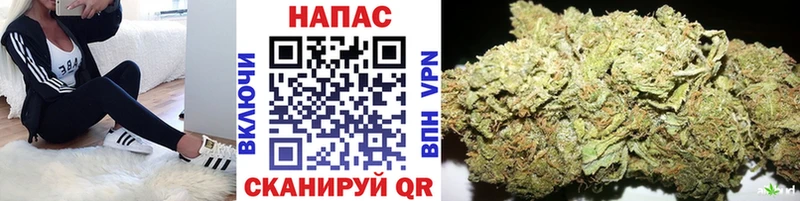 Канабис конопля  Купить где  Нахабино 